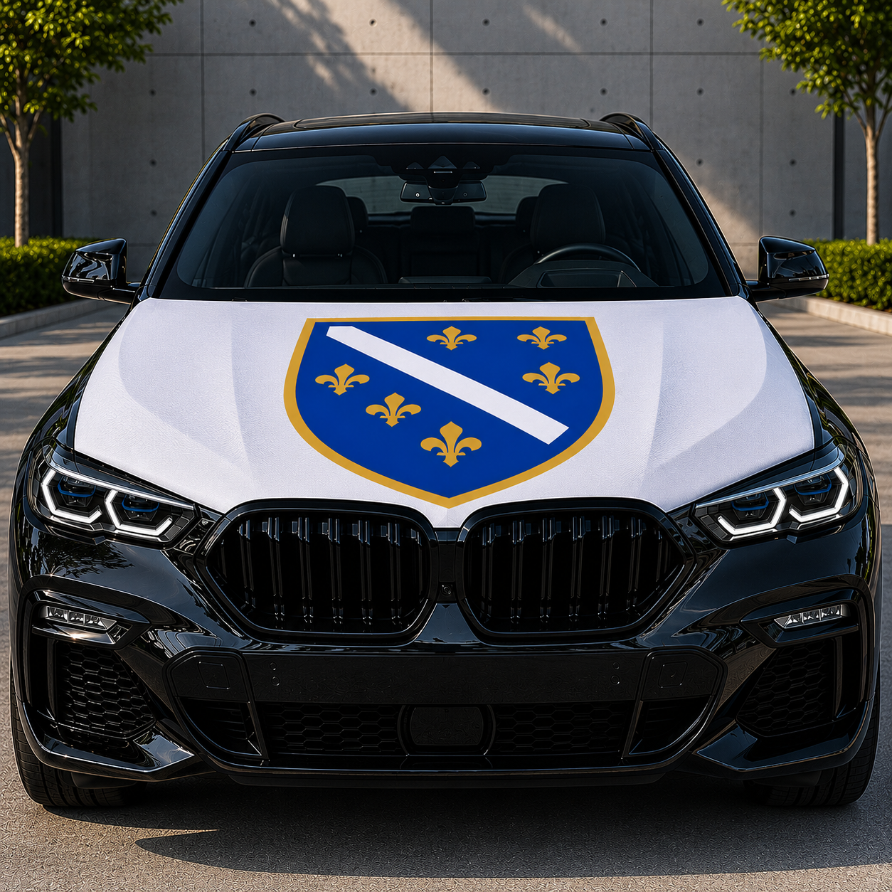 Ljiljani - Bosnia and Herzegovina - Flag Car Cover – For All Cars